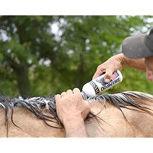 Medicated Shampoo P683