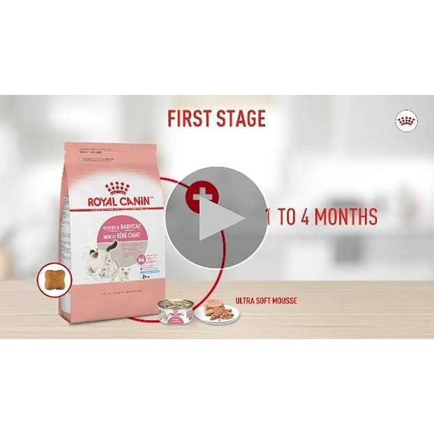 Mother & Babycat Ultra Soft Mousse U573