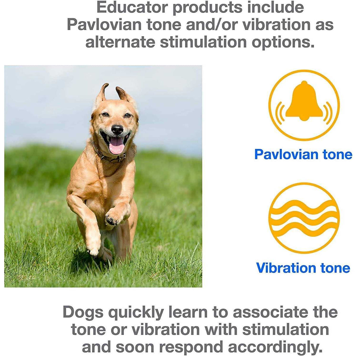 Dog Training Collar System with Remote X267