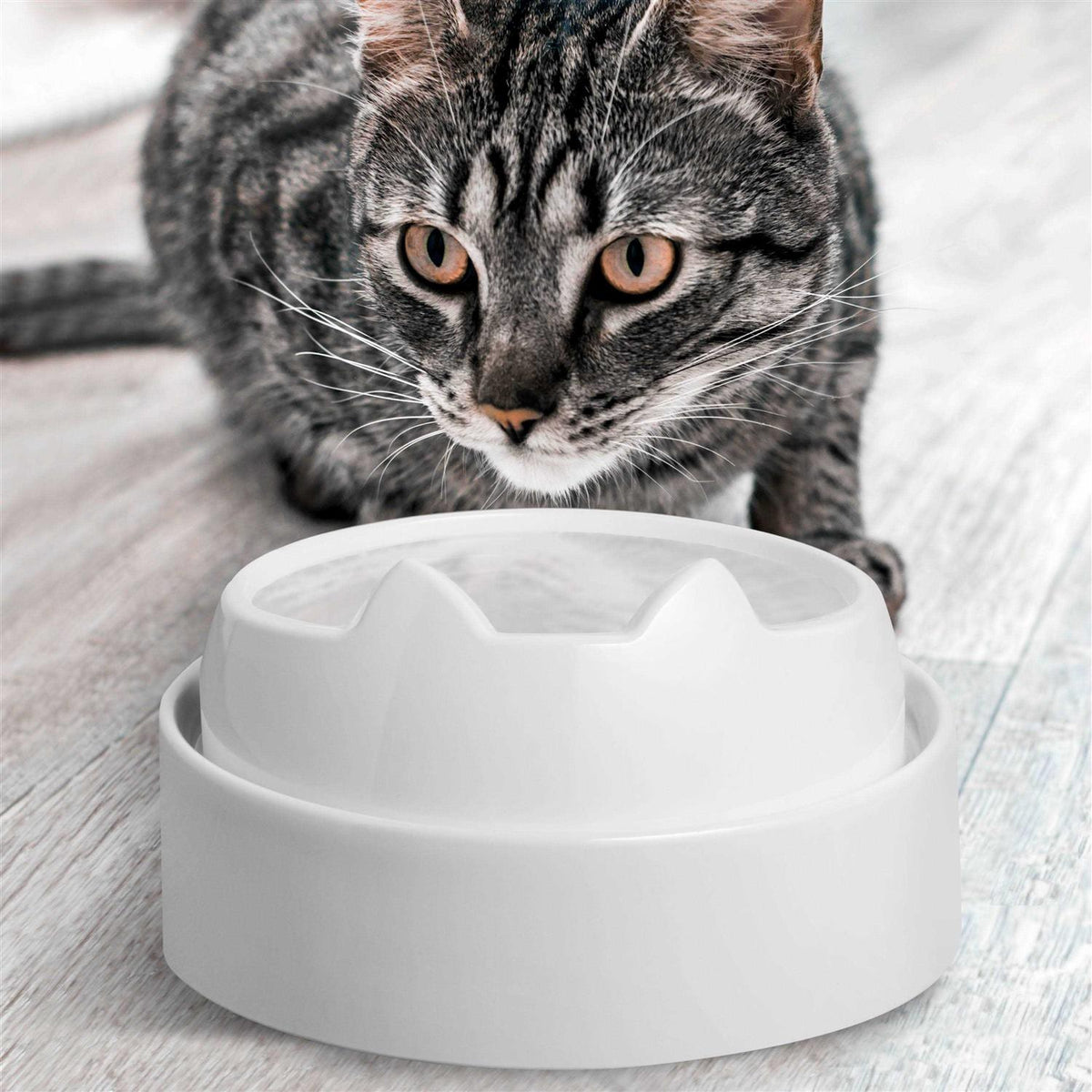 Non Slip Raised Cat Food Bowl Stand U583