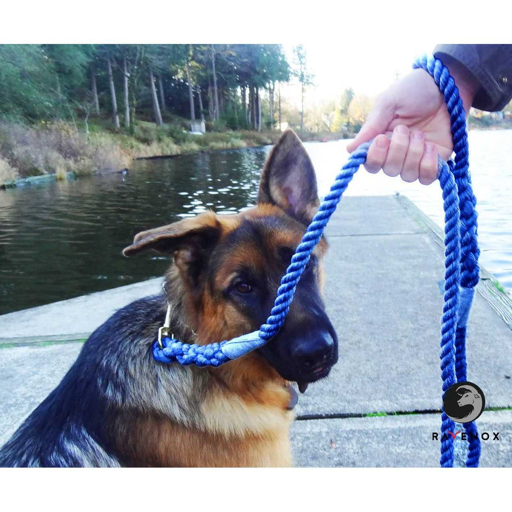 Cotton Rope Leash 12-inch H9019